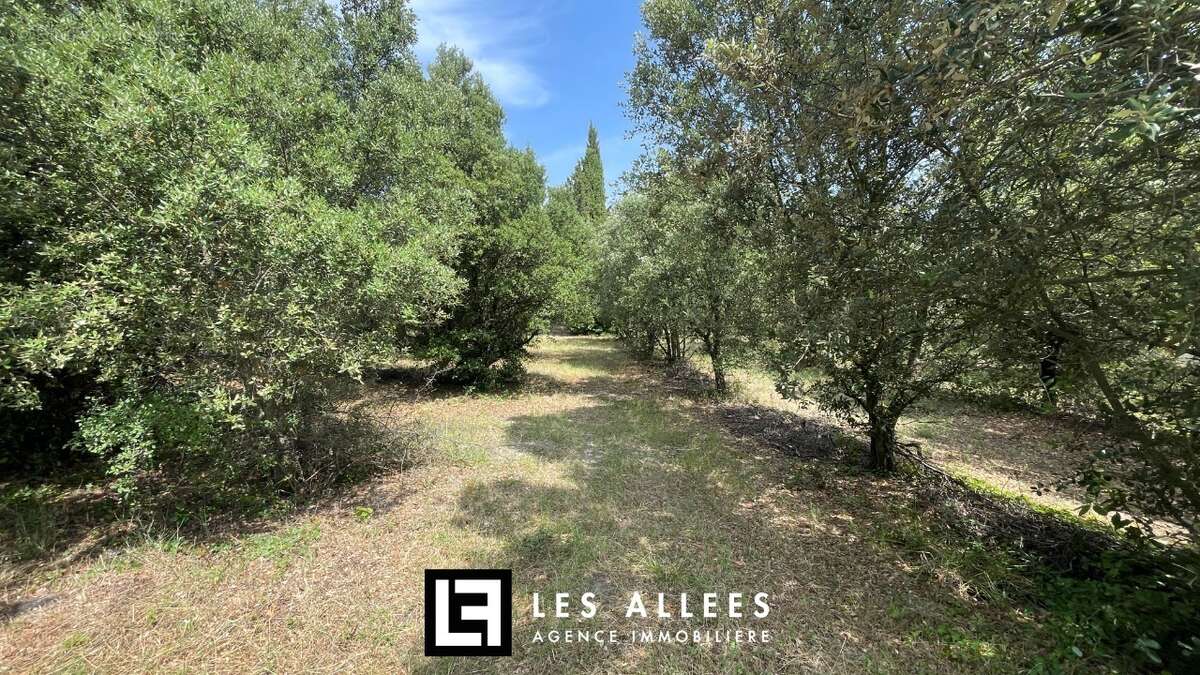 Maison à MONTSEGUR-SUR-LAUZON