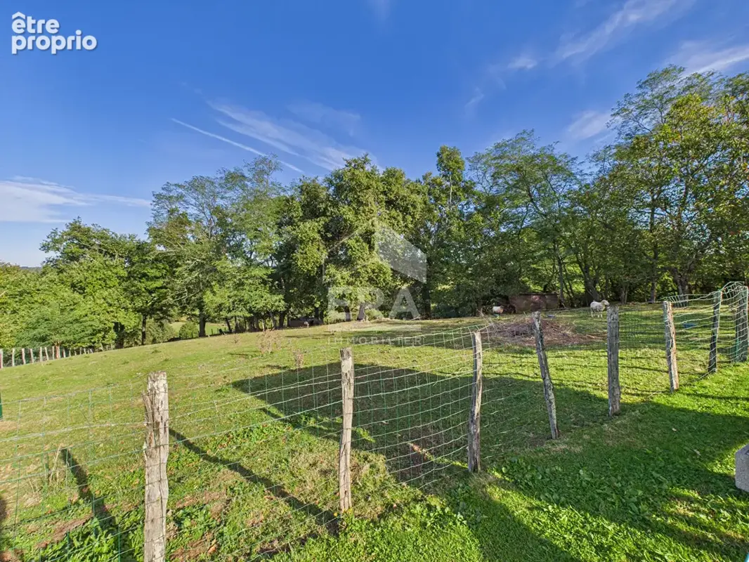 Hasparren - Vente Maison - grand terrain ! - photo 13