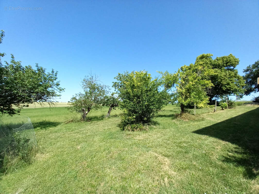 Propriete corps de ferme avec 39 000 m2 de terrain - photo 17