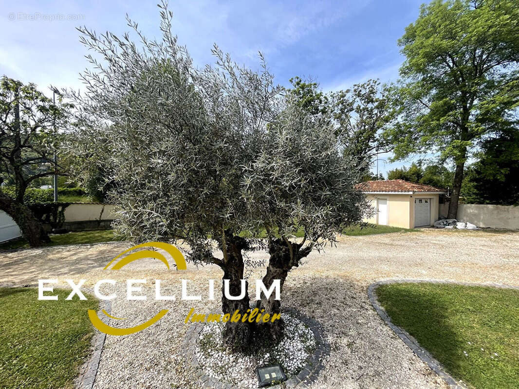 Maison à ROCHETAILLEE-SUR-SAONE