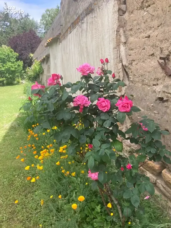 THOISSEY – Maison de village de caractère - photo 16