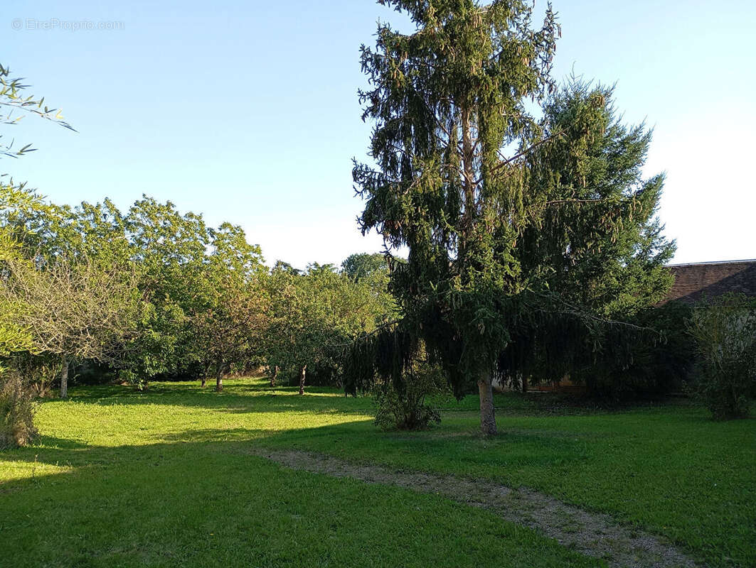 Maison à BAILLEAU-L&#039;EVEQUE