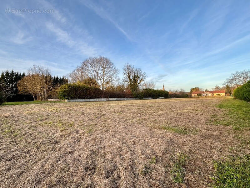 Terrain à TRIE-SUR-BAISE