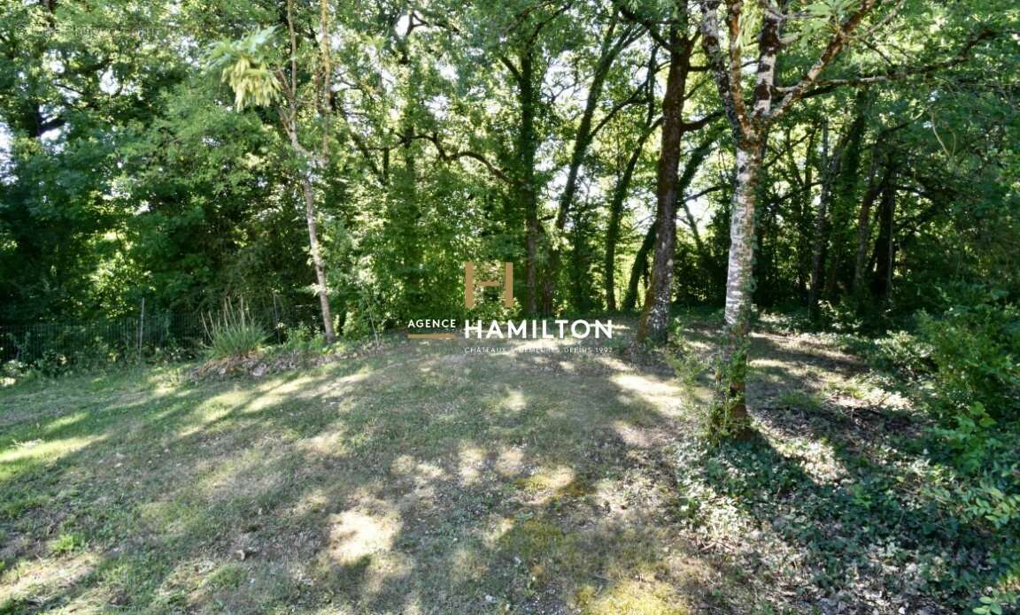 Maison à VILLENEUVE-SUR-VERE