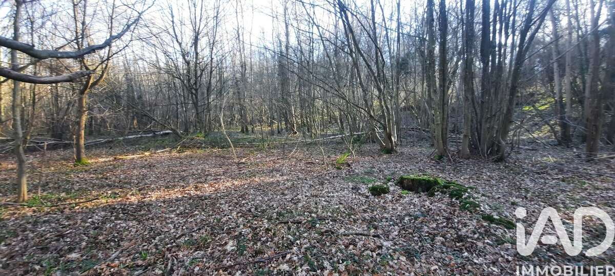 Terrain 3520 m² à Bueil  - photo 3