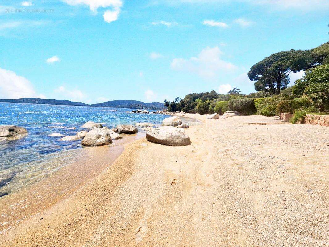 Villa face à la mer - Domaine privé de Cala Rossa - photo 24