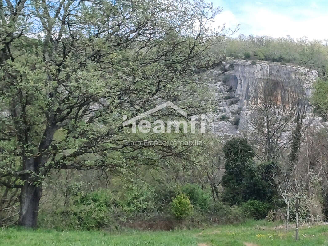 Terrain à BERRIAS-ET-CASTELJAU