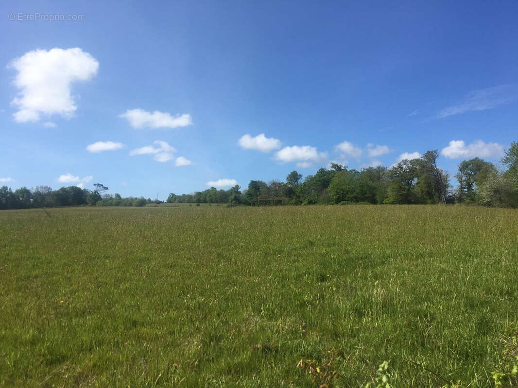 Terrain à AIRE-SUR-L&#039;ADOUR