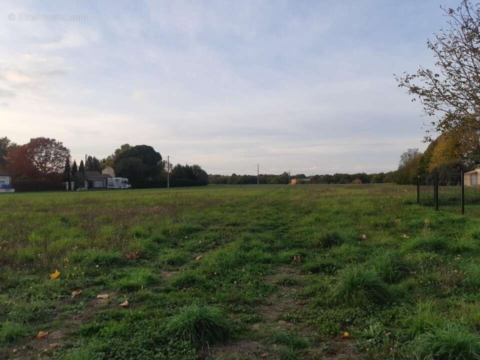 Terrain à SAINT-SAUVEUR