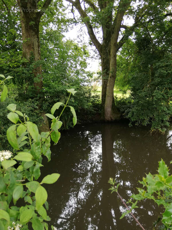 Maison à MARCHENOIR