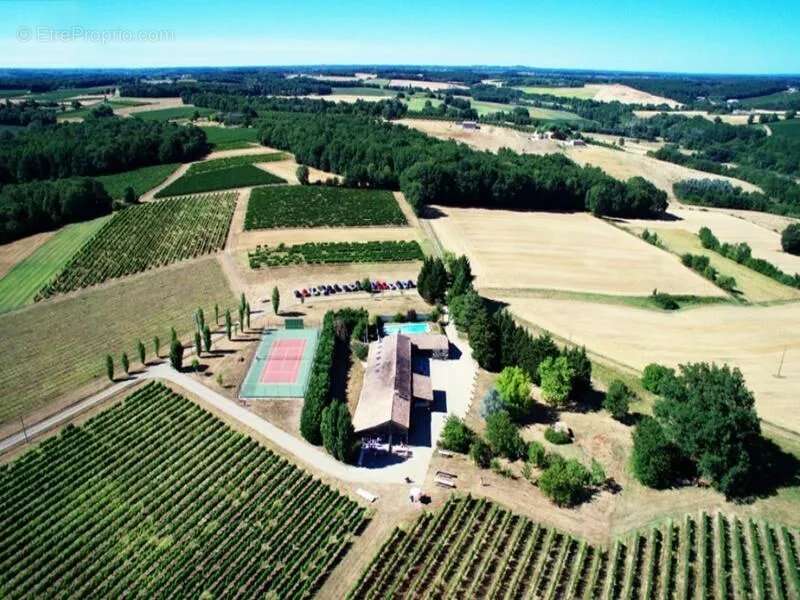 Domaine avec vignoble en activité, maison familiale, gîte, piscine et court de tennis - photo 4