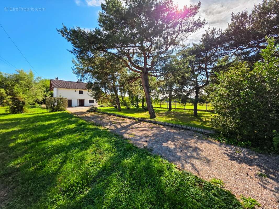Maison 5 pièces avec grand terrain constructible – environnement calme – proche voie verte - photo 2