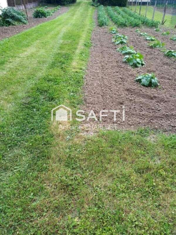 Photo 3 - Terrain à CLION