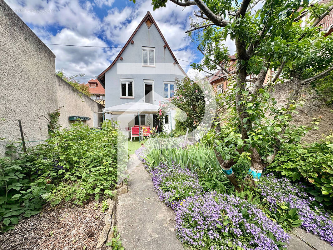 Appartement à ROUFFACH
