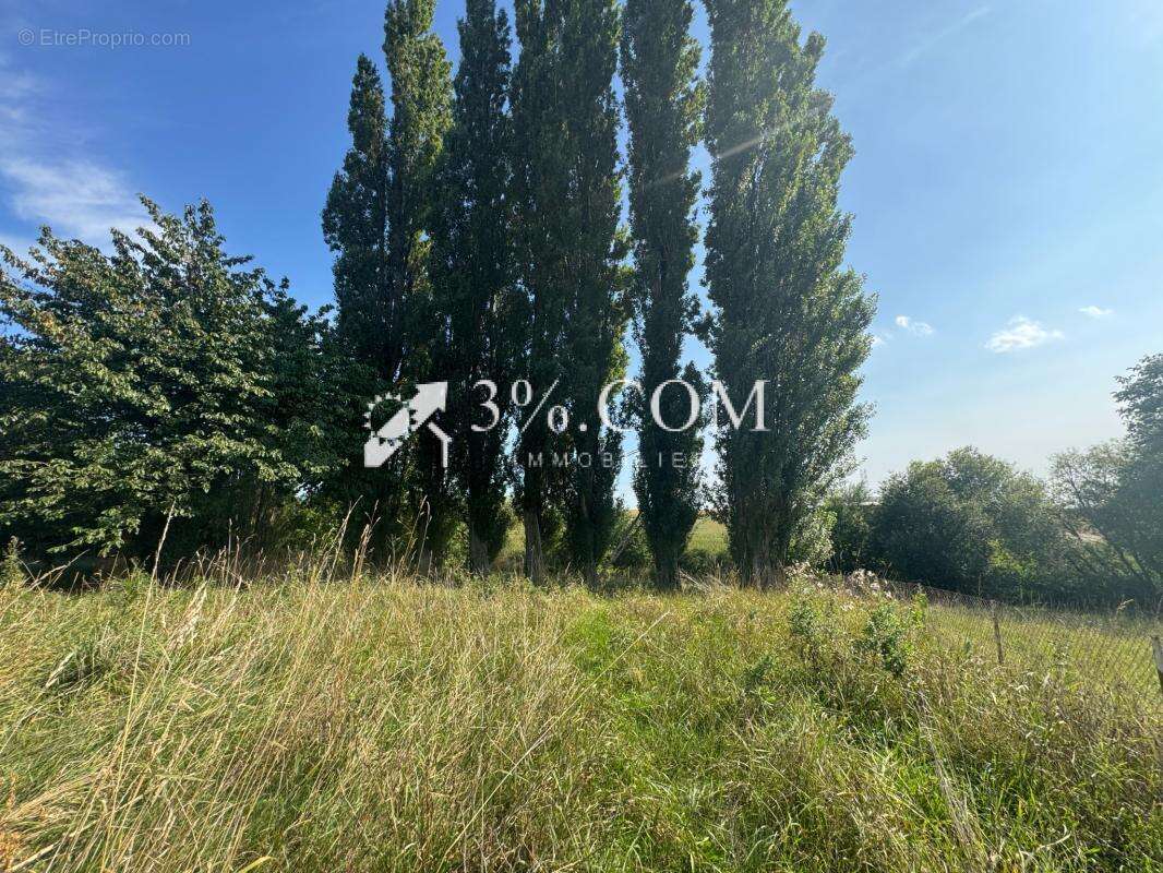 Terrain à TRUCHTERSHEIM