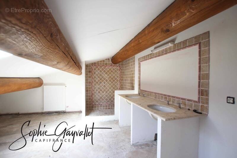 Viager libre – investissement patrimonial rare – mas des templiers - photo 2