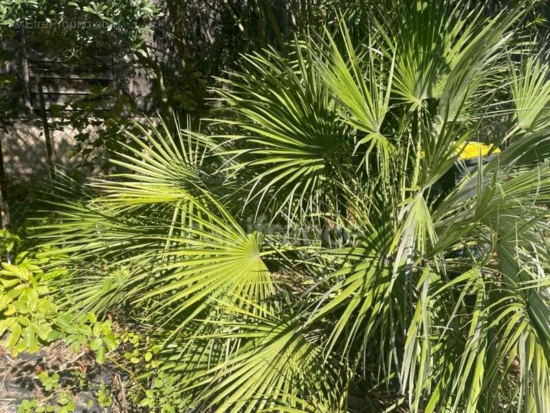 Maison à BIRAC-SUR-TREC