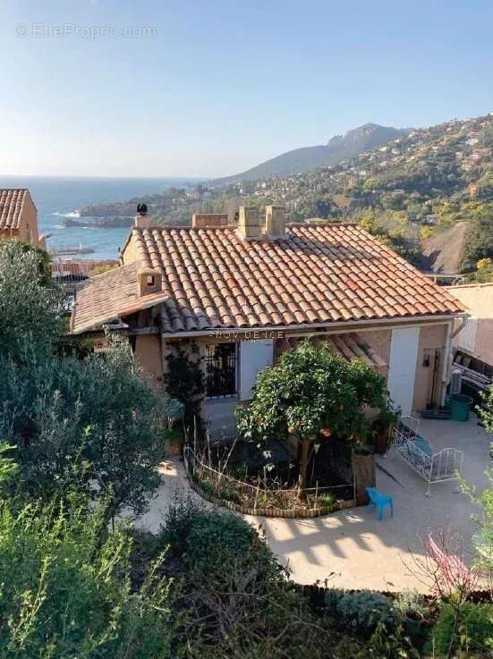 Appartement à THEOULE-SUR-MER