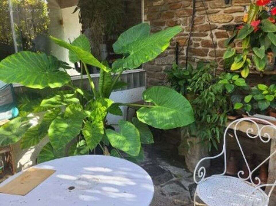 Maison à TOULON