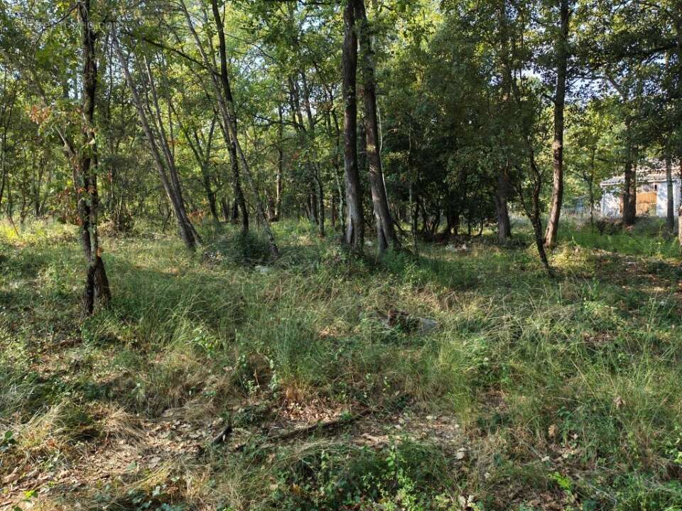 Terrain à TRANS-EN-PROVENCE