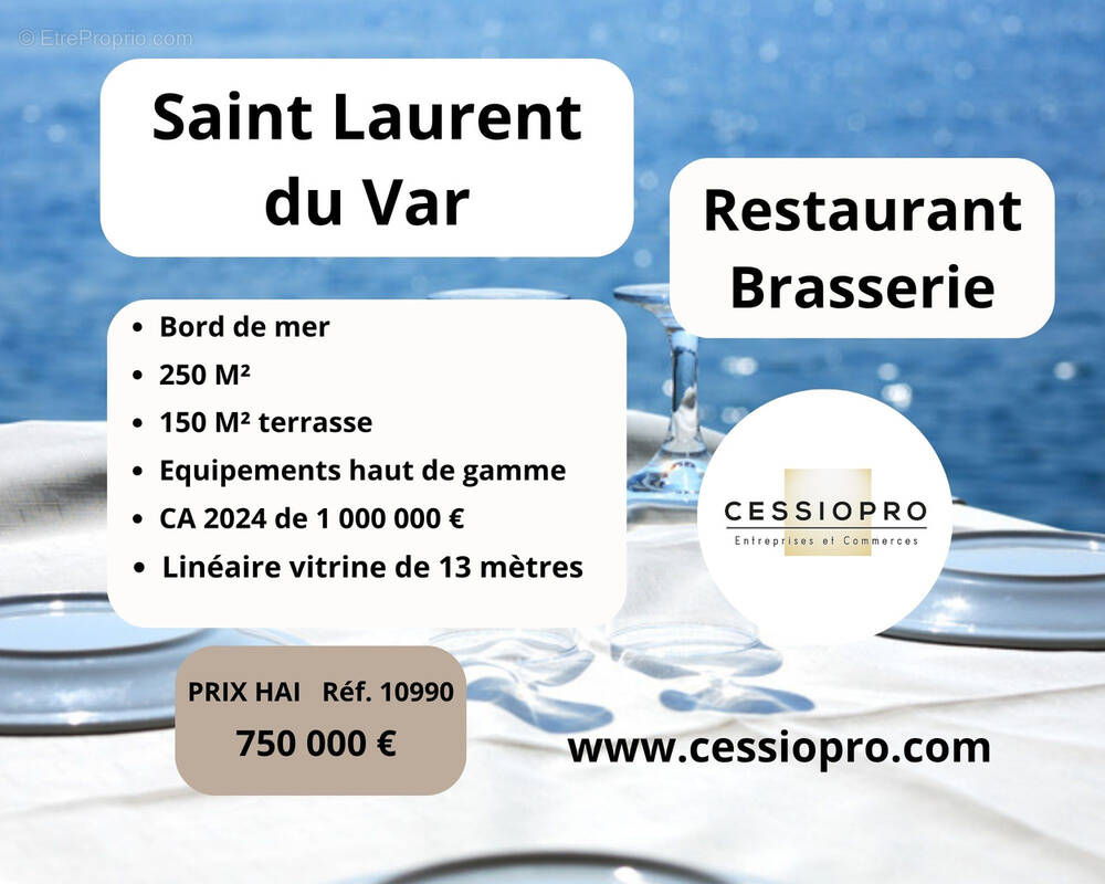 Commerce à SAINT-LAURENT-DU-VAR