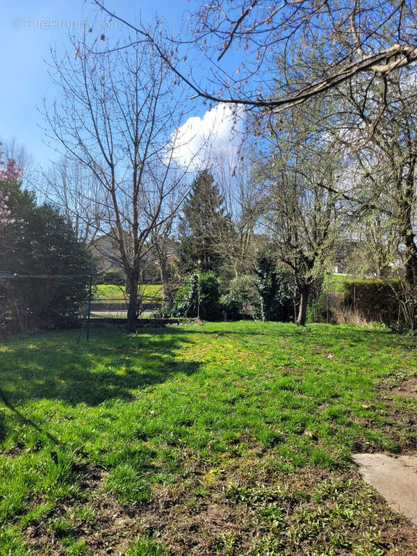 Maison à WISSEMBOURG