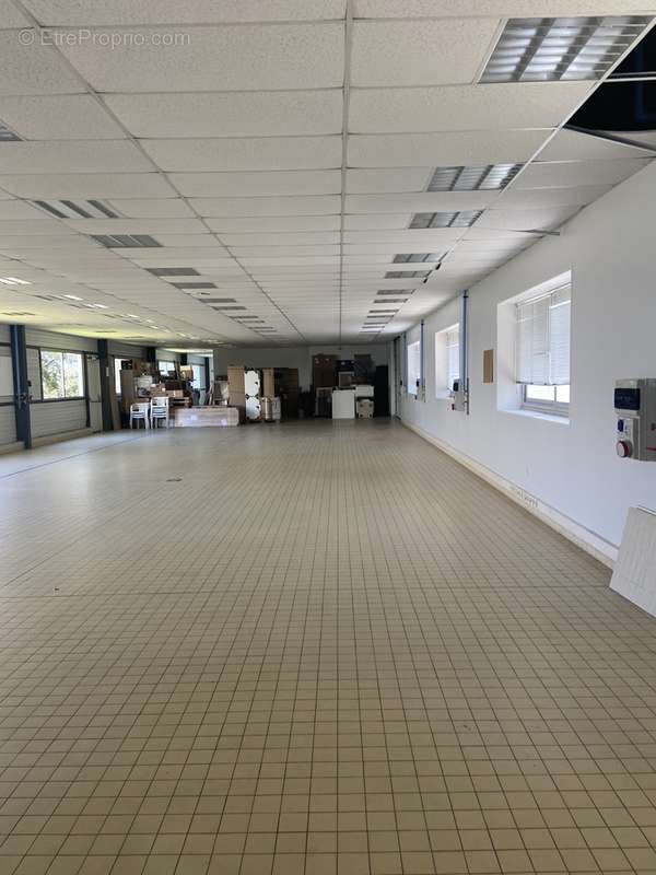 Vente local d'activité - stockage et bureau de 239 m² à 474 m² - photo 7