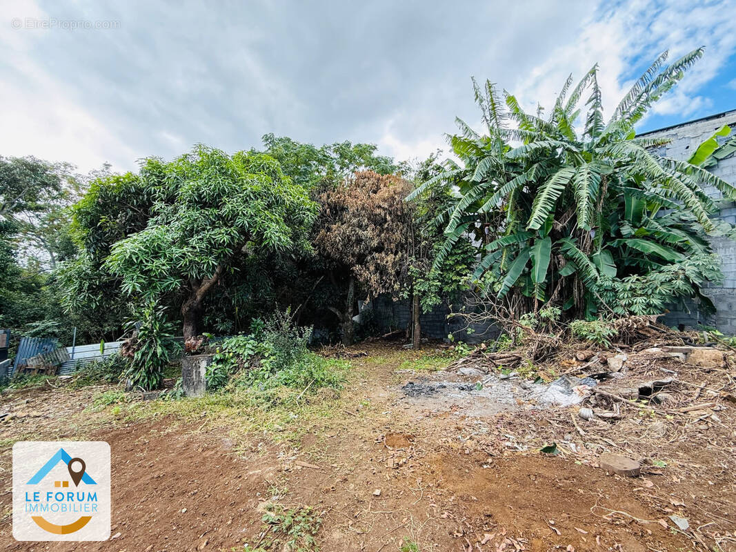 Terrain à SAINT-PIERRE