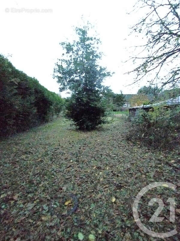 Terrain à BRANCOURT-LE-GRAND