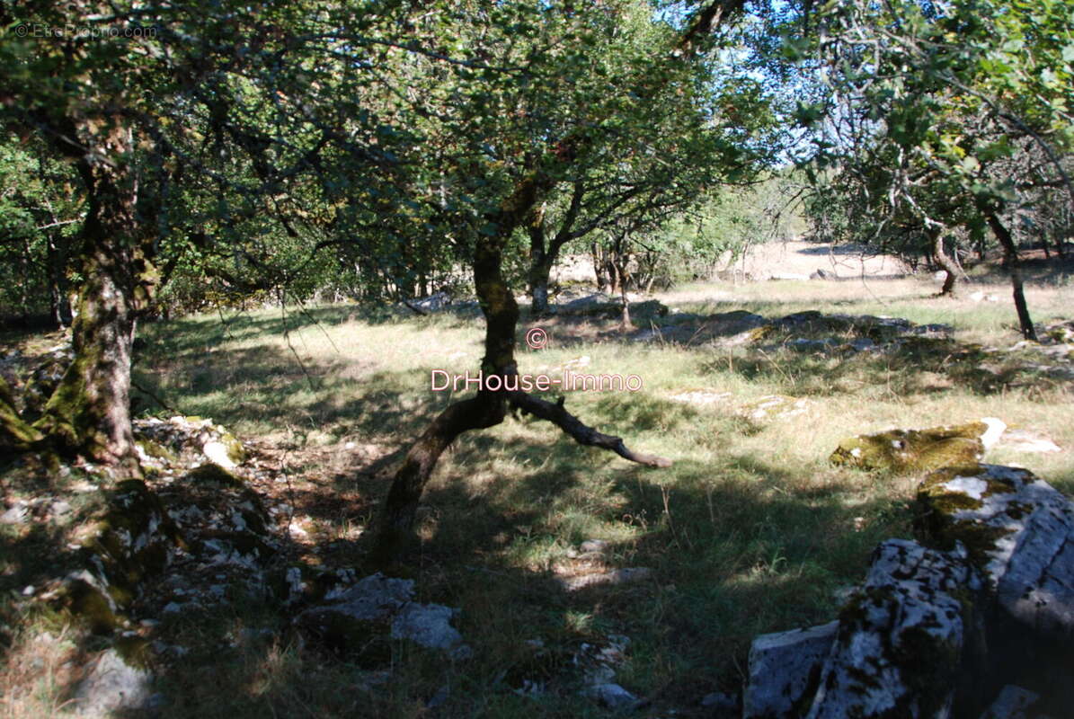 Terrain à LOUBRESSAC