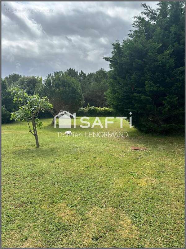 Photo 4 - Terrain à SAINT-GEORGES-D'OLERON