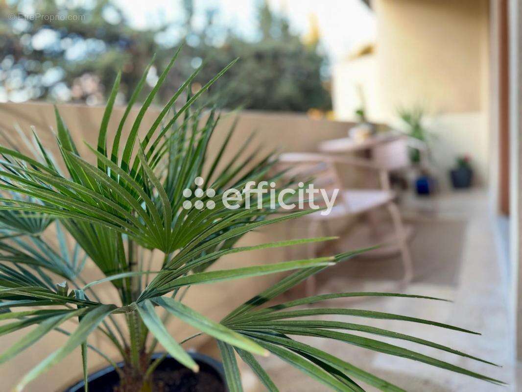 Appartement à MARSEILLE-12E