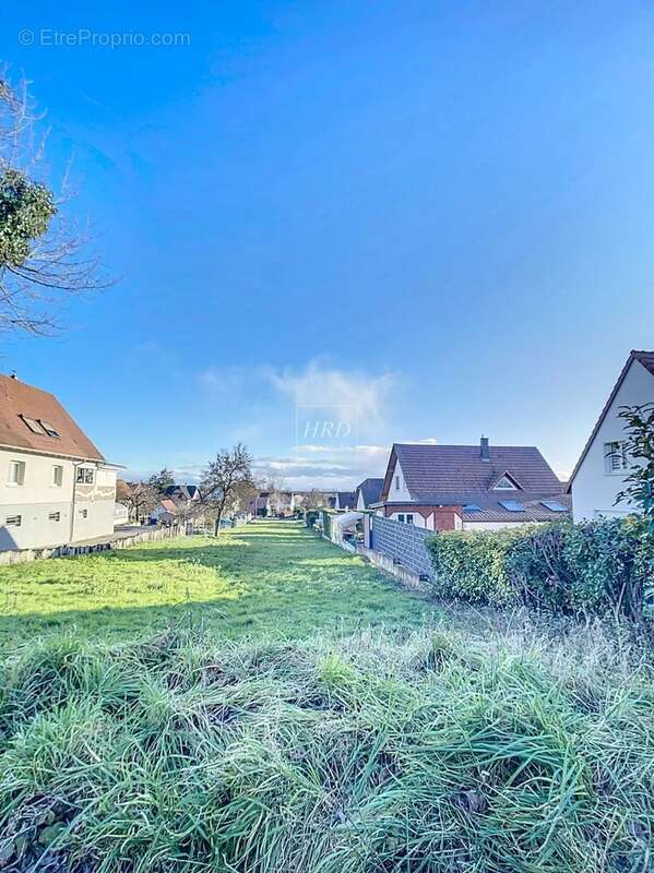 Terrain à WITTERSHEIM