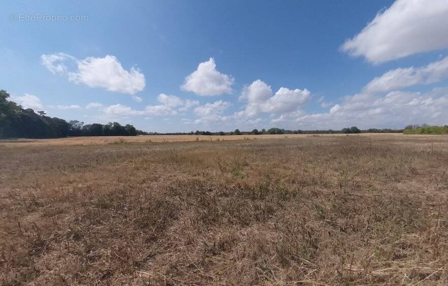 Terrain à BEAUMONT-DU-GATINAIS