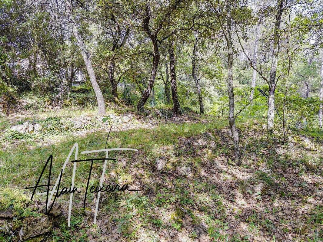 Photo 5 - Terrain à LORGUES