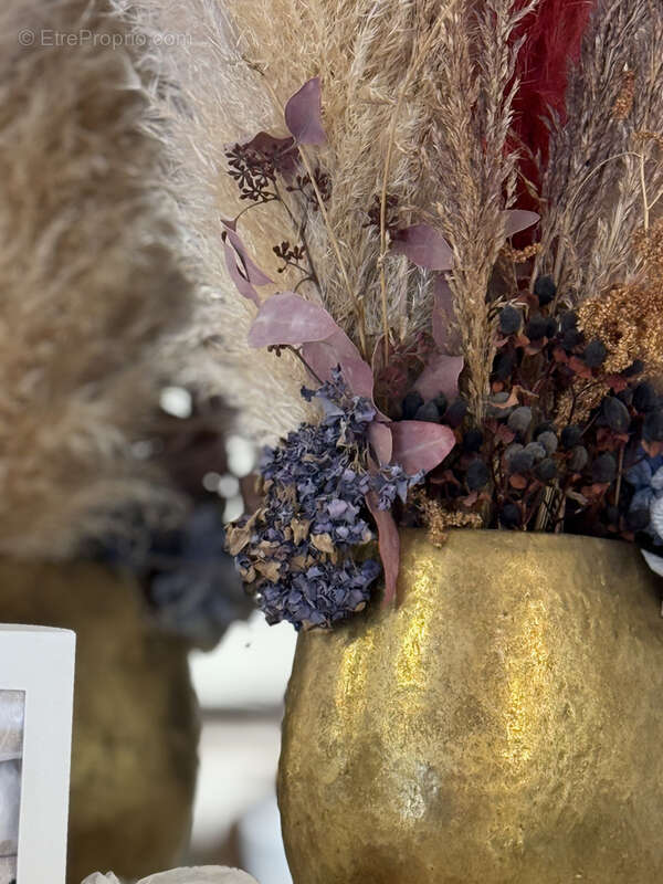 Commerce à ARCACHON