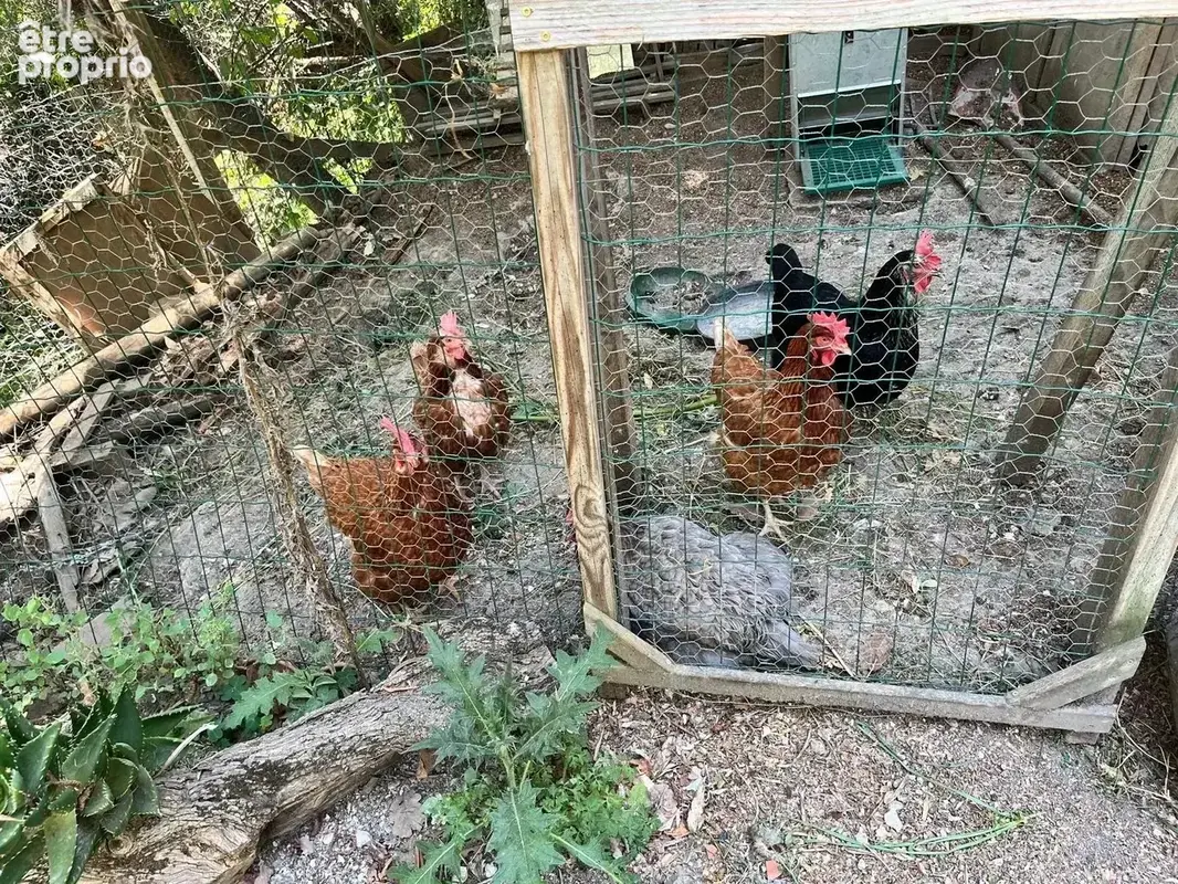 Un coin de paradis pour les amoureux de nature et de calme - photo 28