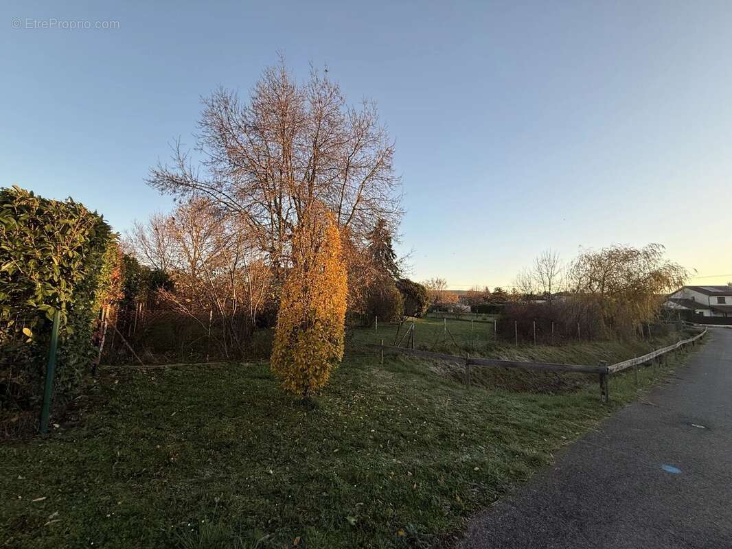 Terrain à PRISSE