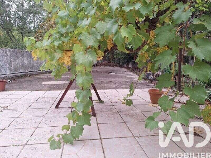 Maison 164 m² à Montbolo  - photo 8