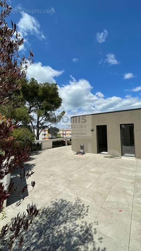 Appartement à MONTPELLIER