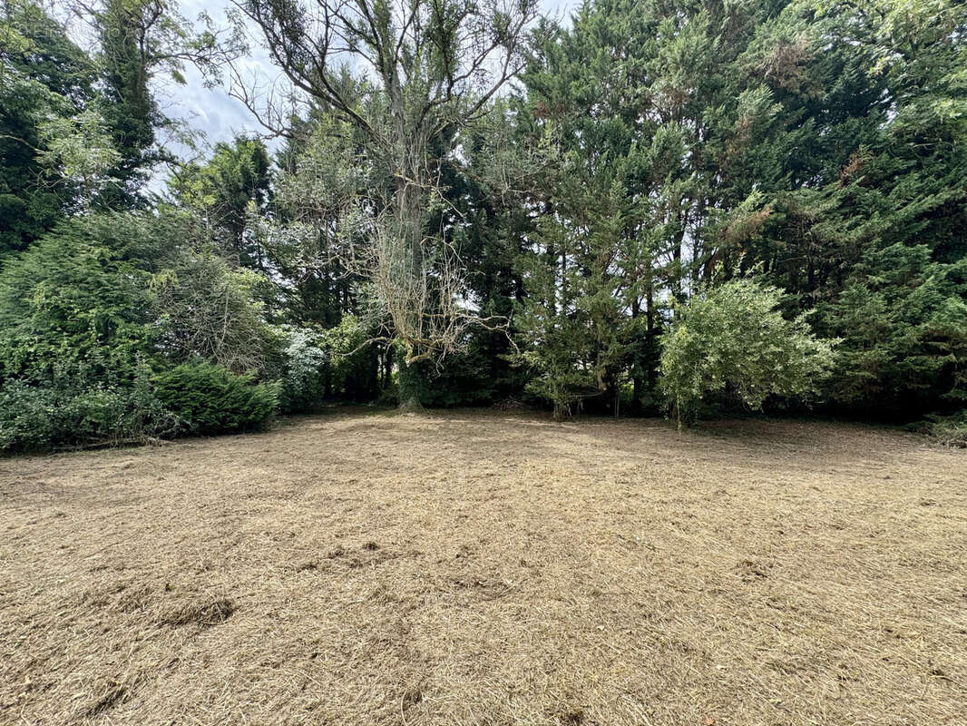 Maison à COULOMMIERS