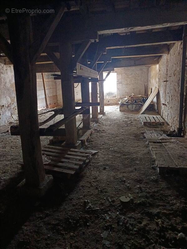 hangar - photo 4