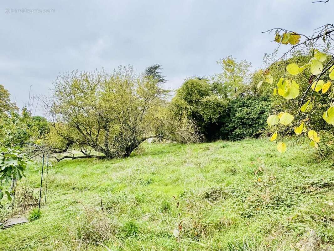 parcelle bas (4) - Terrain à SAINT-JULIEN-EN-GENEVOIS