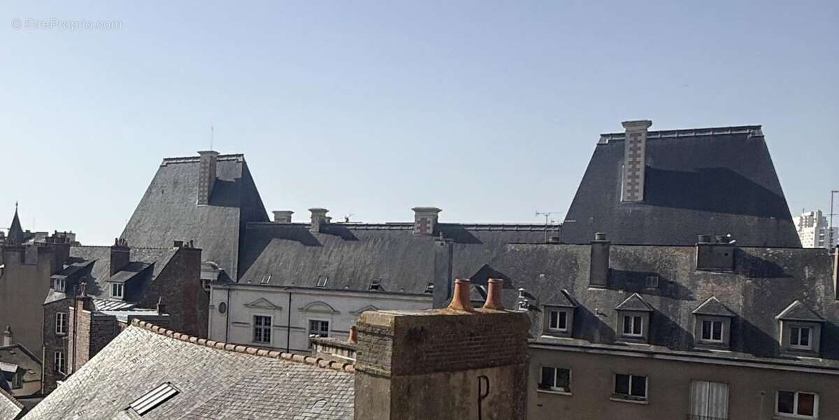 Appartement - photo 3