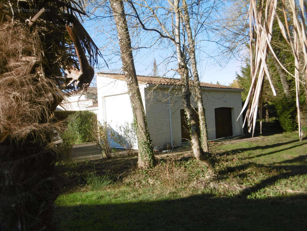 P1000227 - Maison à L&#039;ISLE-D&#039;ESPAGNAC