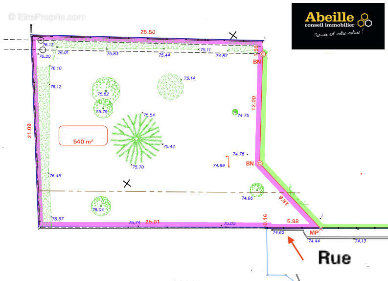 Terrain à SAINT-CHERON