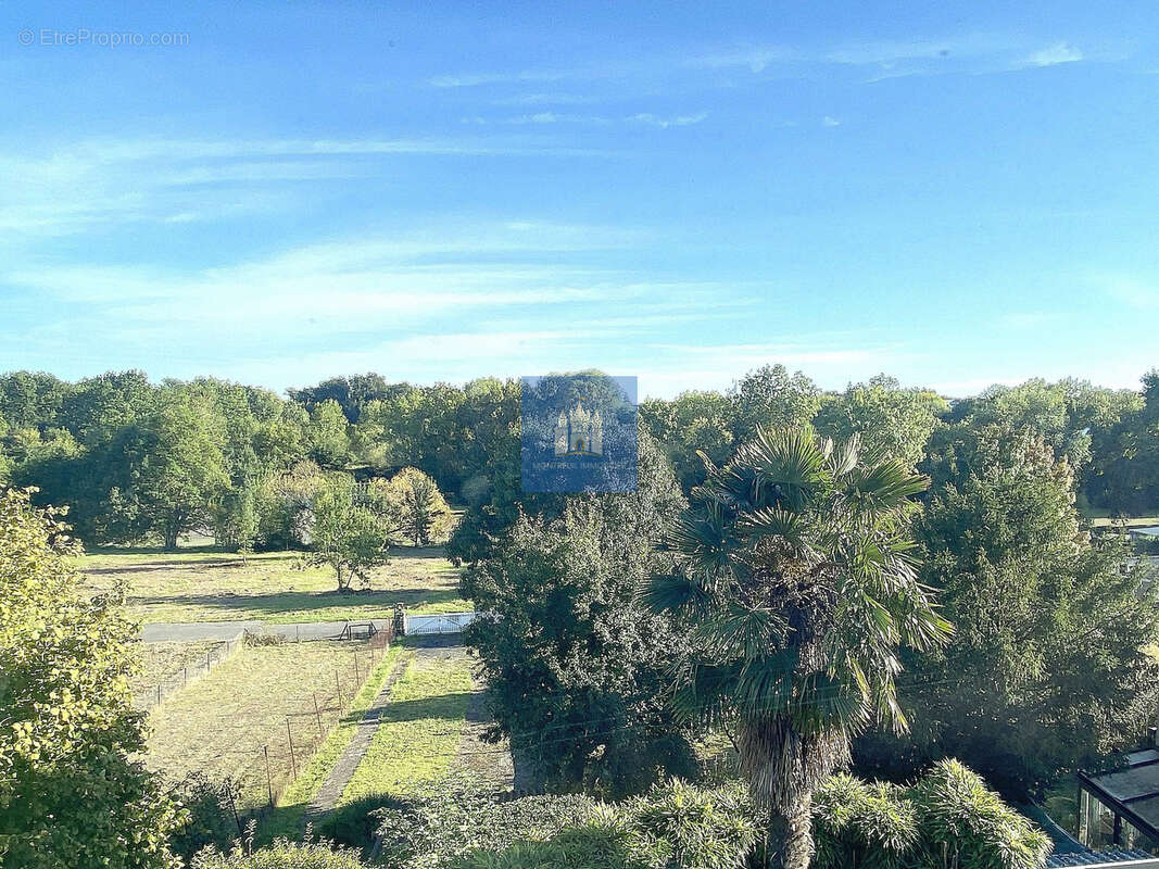 Maison à MONTREUIL-BELLAY