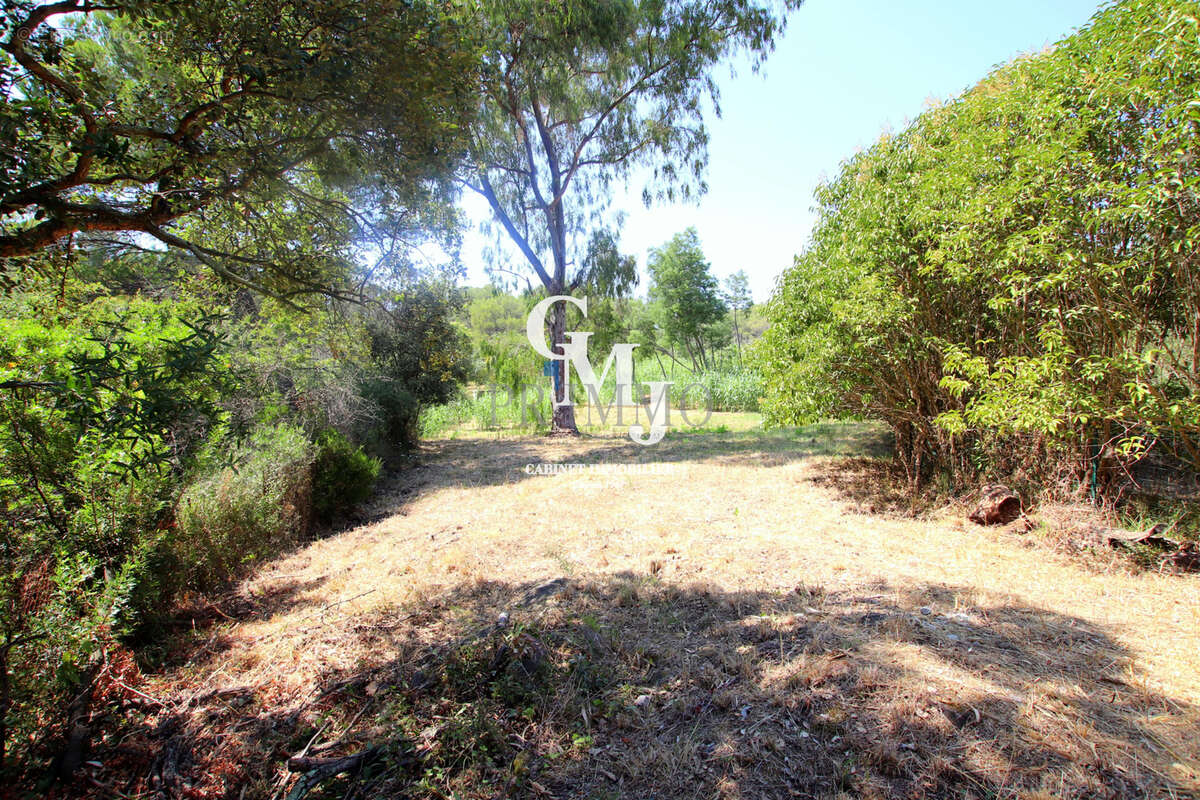 Terrain à FREJUS