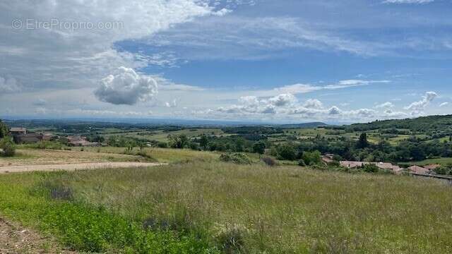 Terrain à SAINT-ALBAN-D&#039;AY