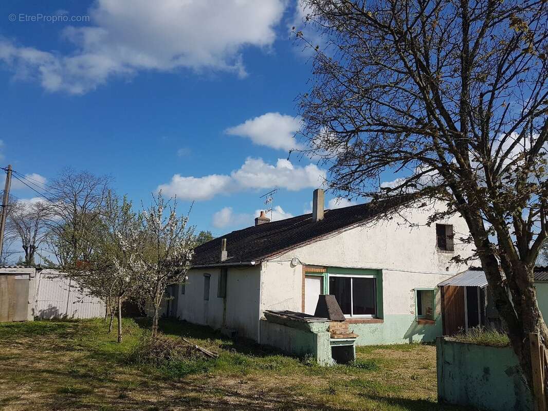 Maison à LOUAILLES